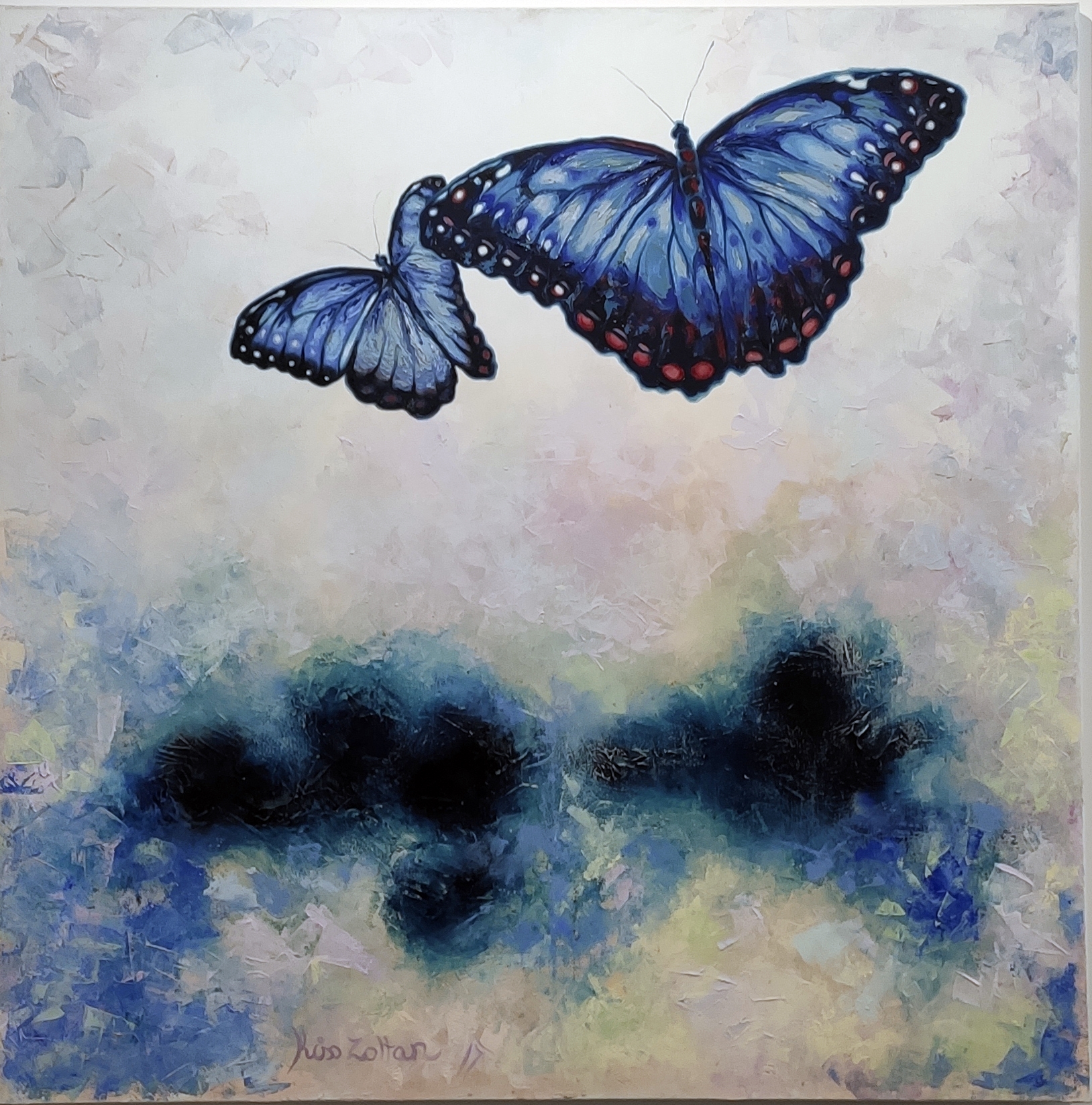 Zoltán Kiss, Morpho Peleides, olejomalba na plátně 100x100 cm.